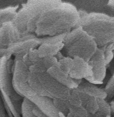 1616135003.png 图片2.png